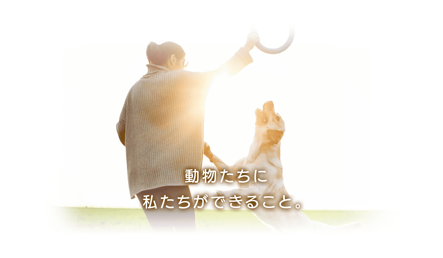 動物たちに私たちができること。