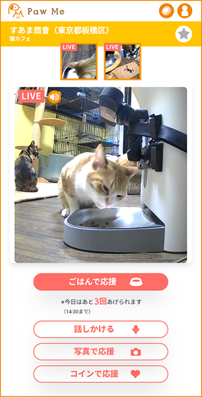 サンプル画像3
